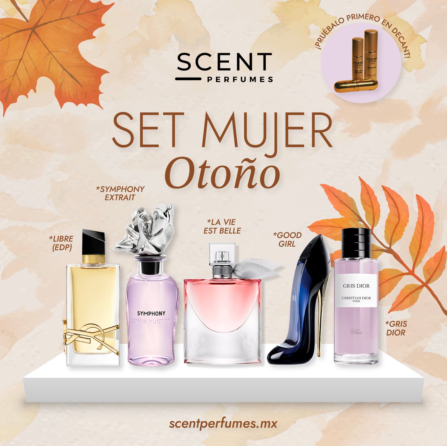 Discovery SET - Otoño Mujer