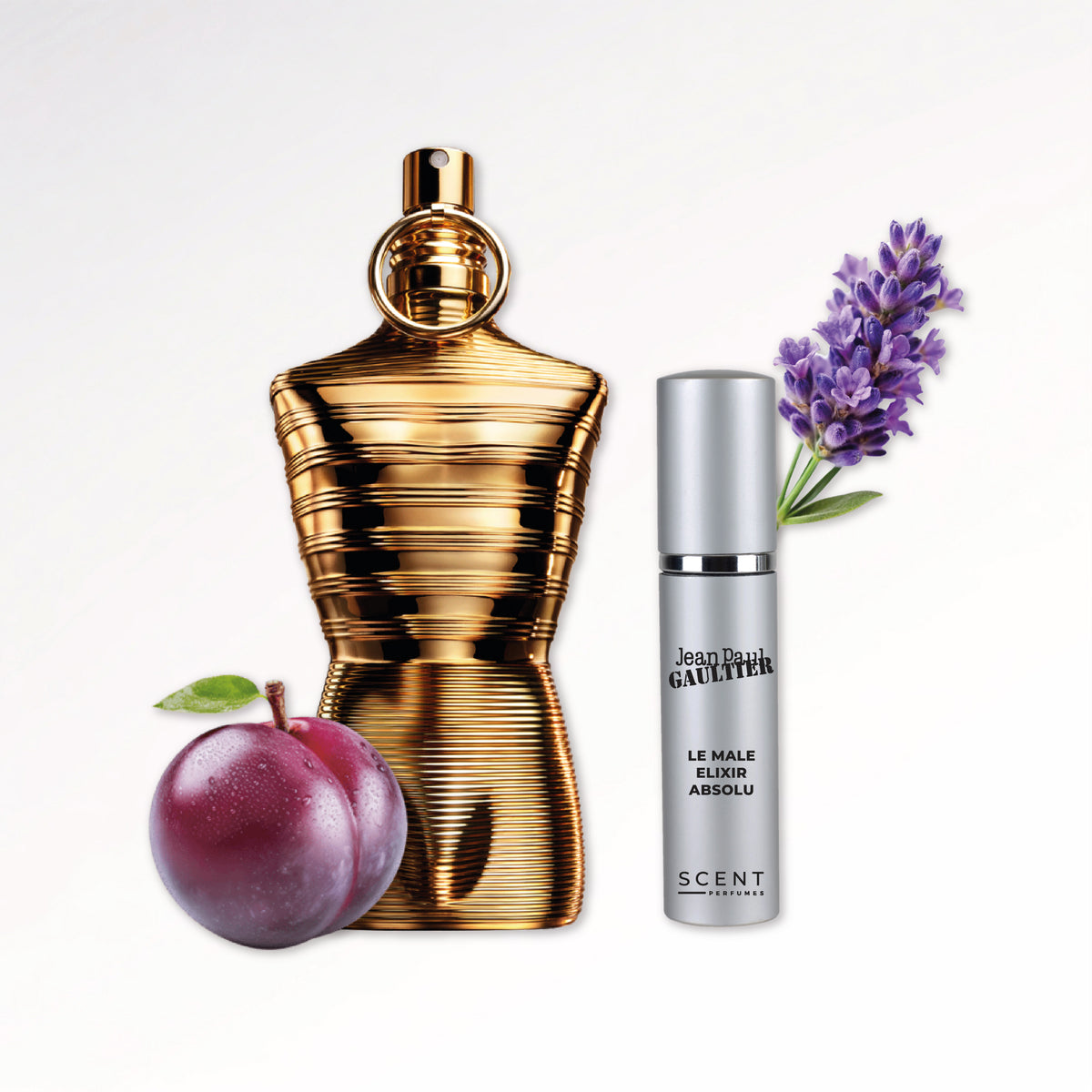 Le Male Elixir Absolu - Decants de 3, 5 y 10ml. Perfume original
